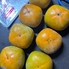 ひらたね柿（5kgからの画像