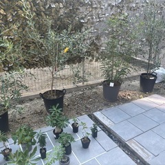 庭　フェンス取付　業者募集