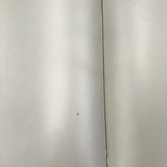 大満　2人掛けソファ【リサイクルフカツ碧南店】の画像