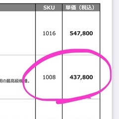 新品未使用‼️🉐エナジック　プラチナムの画像