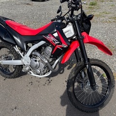 ホンダ　crf250l  MD38 FI
の画像