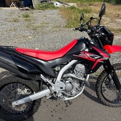 ホンダ　crf250l  MD38 FI
の画像