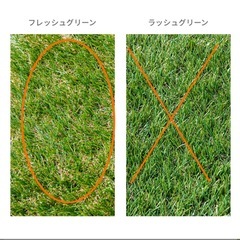 人工芝の画像