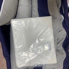 布団セット シングル 9点セット 掛け布団 敷布団 布団カバー ふとん 来客用 組布団 収納バッグ付き アイリスオーヤマの画像
