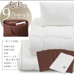 布団セット シングル 9点セット 掛け布団 敷布団 布団カバー ふとん 来客用 組布団 収納バッグ付き アイリスオーヤマの画像