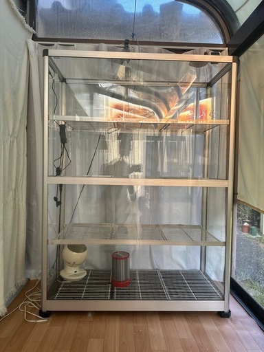 ガラスショーケース