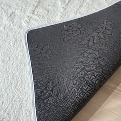 引き渡し終了 ホワイト　ラグの画像