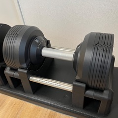 名古屋市直接引取限定 プロバーベル 23.5kg ブラック2個セットの画像