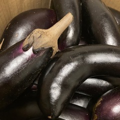 無農薬穫れたて茄子45本の画像