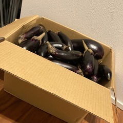 無農薬穫れたて茄子45本の画像