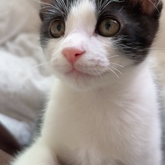 里親さん決まりました