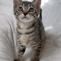 里親さん決まりました