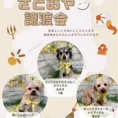 10月5日(日)観に来られる方　