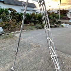 【青森】中古 アルミはしご 園芸　果樹園 りんご　アルミ梯子　アルミ脚立 ７尺　約220センチの画像