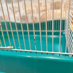 小動物用中型ケージ　取り外し可能な底トレイの画像