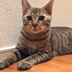 元気一杯の男の子♪