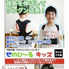 姿勢矯正　せのび〜るの画像