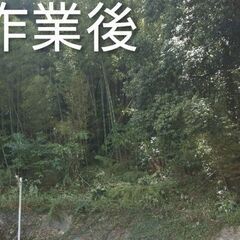 草刈り　木、竹の伐採　承ります　【激安価格】 - 津市