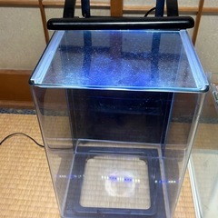 ニッソー、テトラ　水槽2台の画像