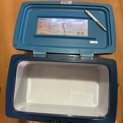 車載用冷蔵庫の画像