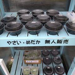 めだか無人販売の画像