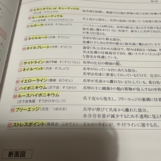 日本ネイリスト協会(JNA) テクニカルシステム ネイリスト検定 問題集 教科書