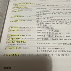 日本ネイリスト協会(JNA) テクニカルシステム ネイリスト検定 問題集 教科書の画像