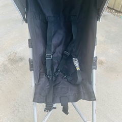 バギーの画像
