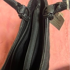BLUESHARKSKIN ハンドバッグの画像