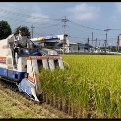 令和7年産　玄米30キロ ひとめぼれ　一等米　埼玉県熊谷産　専業農家　　白米にもできます！の画像