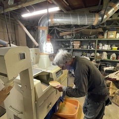 令和7年産　玄米30キロ ひとめぼれ　一等米　埼玉県熊谷産　専業農家　　白米にもできます！の画像