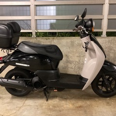 ホンダトゥデイFタイプ　低走行6700キロの画像