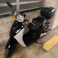 ホンダトゥデイFタイプ　低走行6700キロの画像