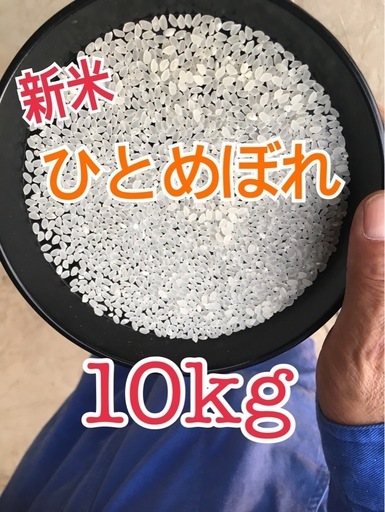 令和7年産　玄米10キロ ひとめぼれ　一等米　埼玉県熊谷産　専業農家　　白米にもできます！