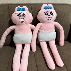 ロングおぱんちゅうさぎの画像
