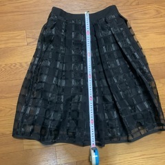 （未使用）スカートの画像