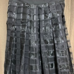 （未使用）スカートの画像