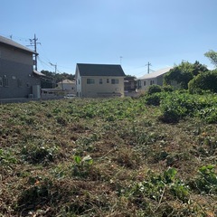 草刈り致します。