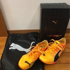 PUMA陸上スパイクの画像