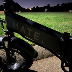 MATE X 250 日本未販売モデル ウォーキングアシスト機能付の画像