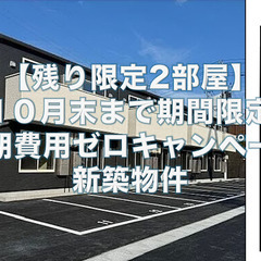 【限定2部屋】新築初期費用0、広々1LDK、ペット/二人相談可、...