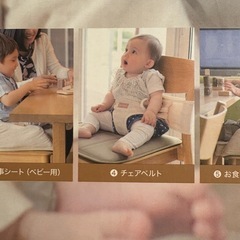 チェアベルトの画像