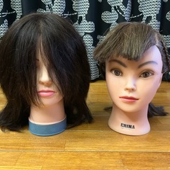 ヘアーマネキンの画像