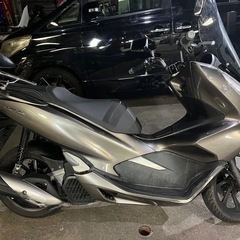 pcx81 の画像