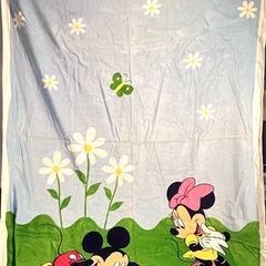 Disney HOMEのタオルケット　の画像