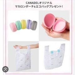カナデル　ノベルティ　マカロンポーチつき　エコバックの画像