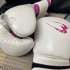 8オンスのグローブ④の画像