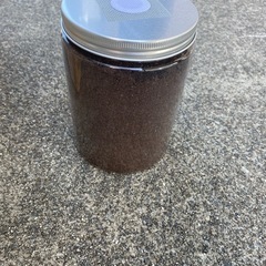 tokyo3ヘラクレス初令5匹の画像