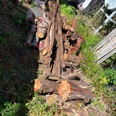 薪　長さバラバラ　の画像