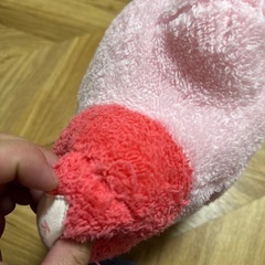 ぬいぐるみの画像